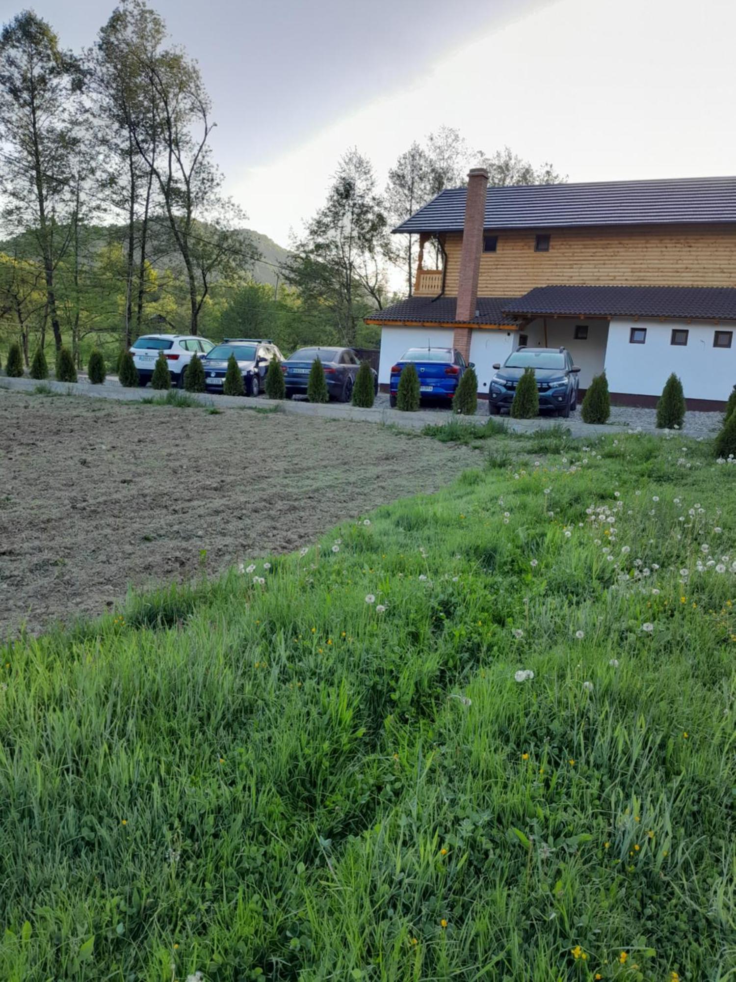 Pensiunea Malinul Birsana Exterior photo